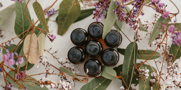 Essentiële olie als natuurlijke plantmedicijnen